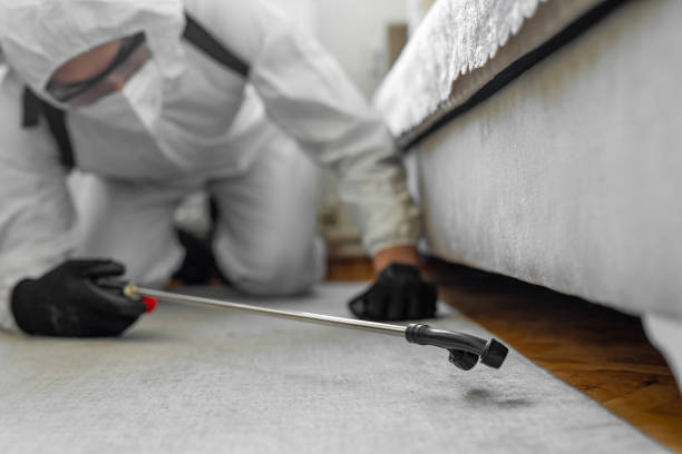 Professional Ant Control technician working in Burleson, TX