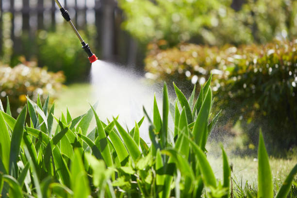 24/7 Emergency Ant Control experts in Burleson, TX