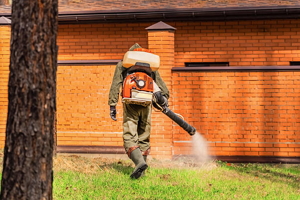 Top rated local Ant Control specialists in Burleson, TX